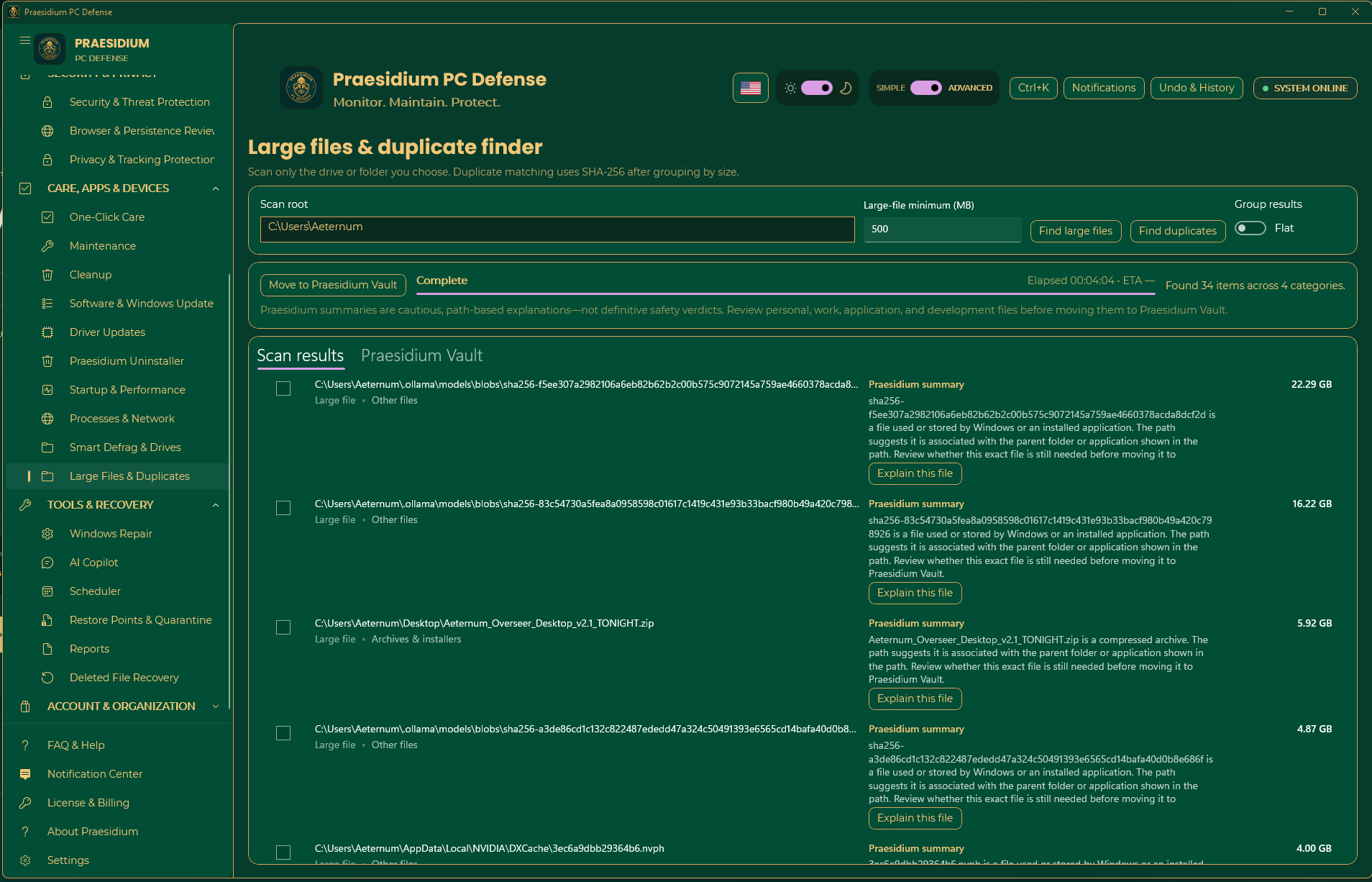 Large Files and Duplicate Finder showing user-scoped results and explanatory summaries