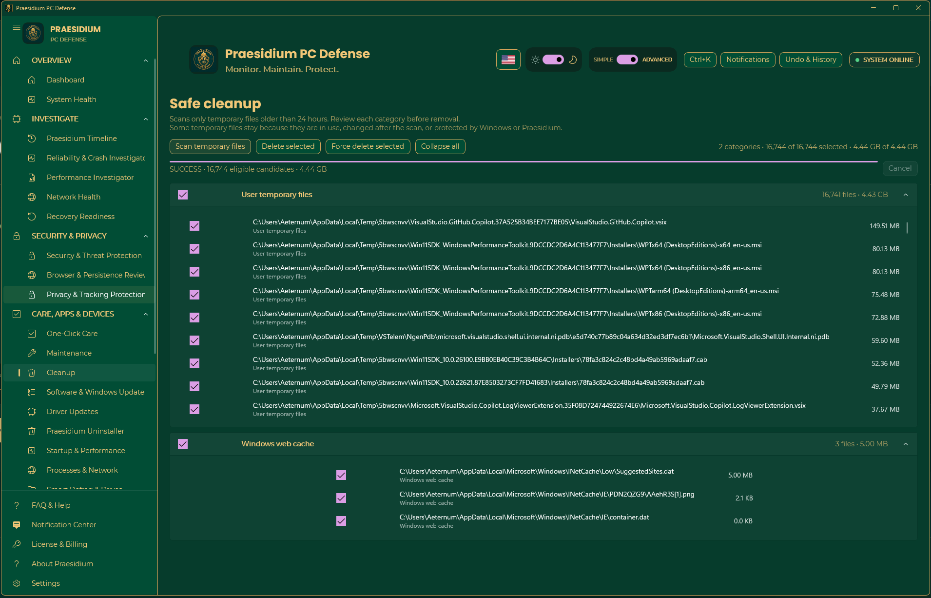 Safe Cleanup showing selected temporary-file categories, item counts, sizes, and force-delete control
